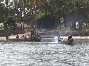 Gambia 05 Ausflug ins Saloum-Delta und zur Insel Ginack,_DSC00878b_B740
